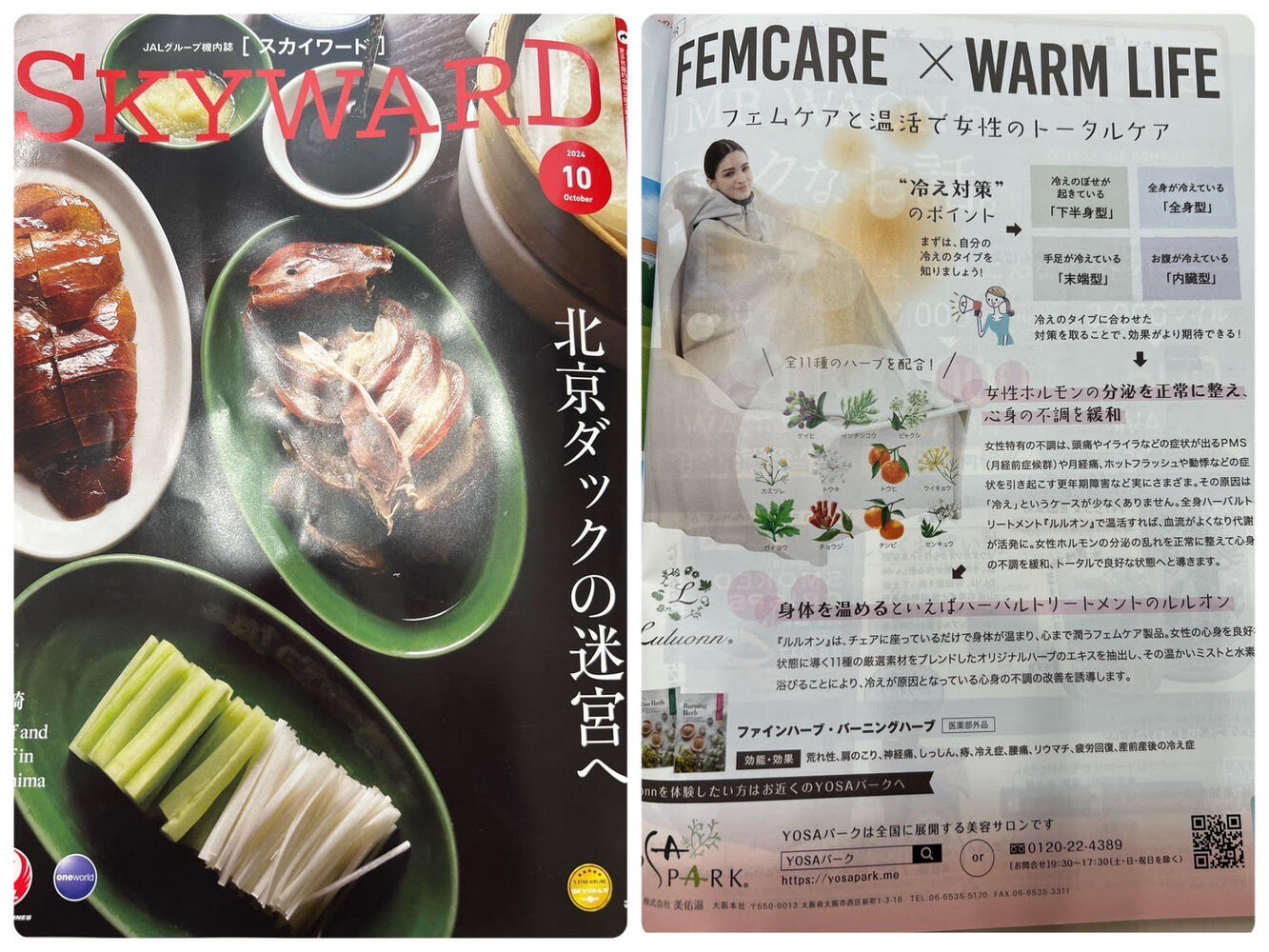 ブログ